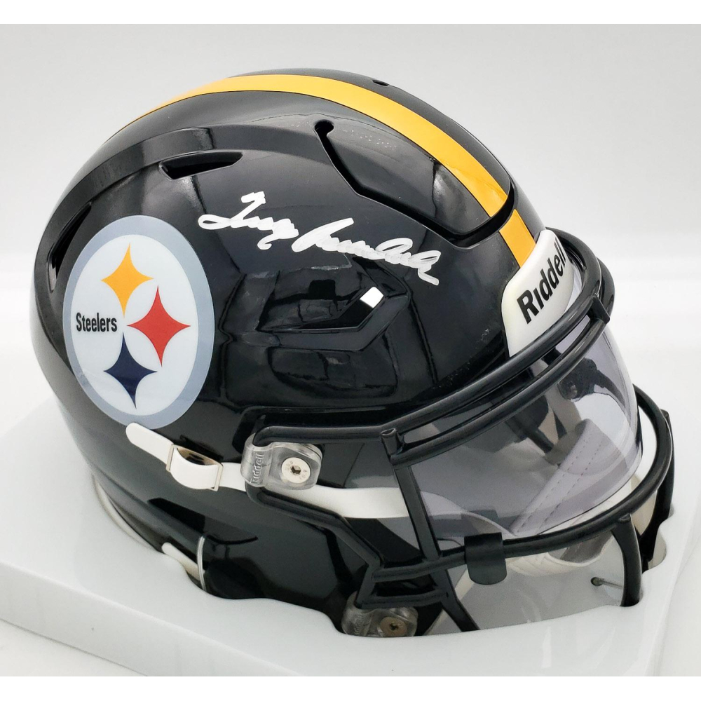 share_505538-Terry-Bradshaw-
